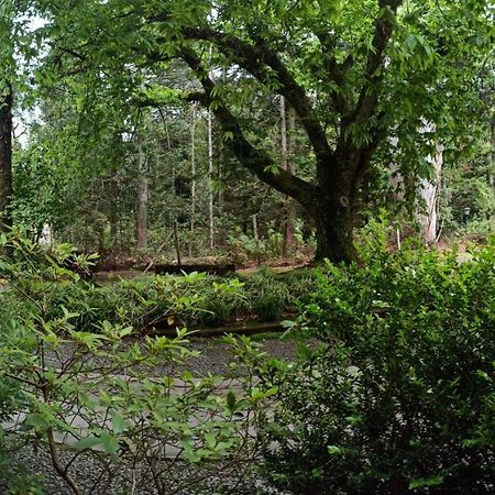 O Fada da Floresta é seu refúgio p/ até 4 pessoas Gramado Exterior foto