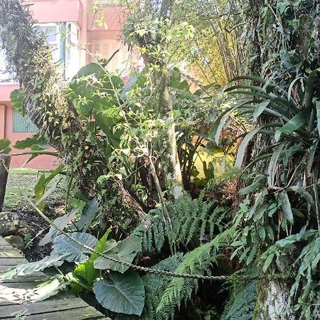 O Fada da Floresta é seu refúgio p/ até 4 pessoas Gramado Exterior foto
