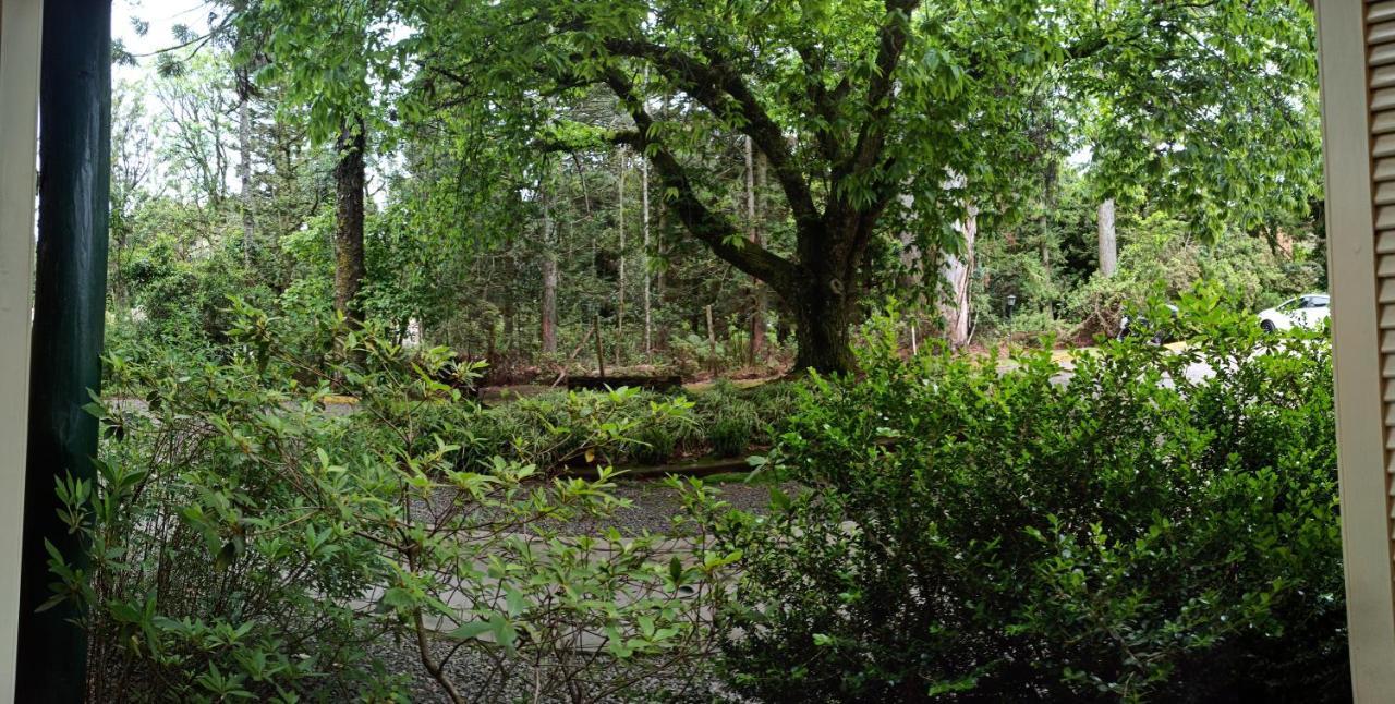 O Fada da Floresta é seu refúgio p/ até 4 pessoas Gramado Exterior foto