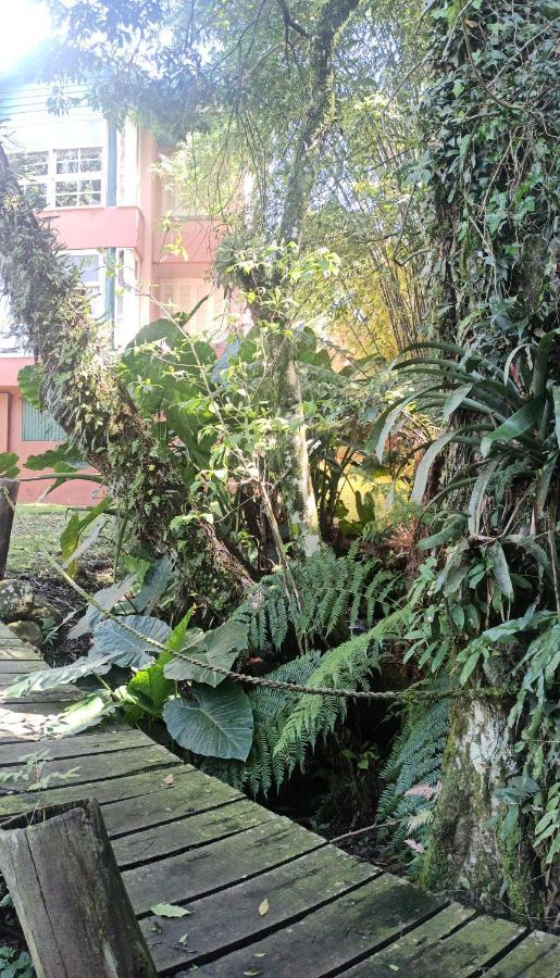O Fada da Floresta é seu refúgio p/ até 4 pessoas Gramado Exterior foto